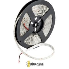 CATA CT-4534 Üç Çip Şerit Led Dış Mekan (Rgb)