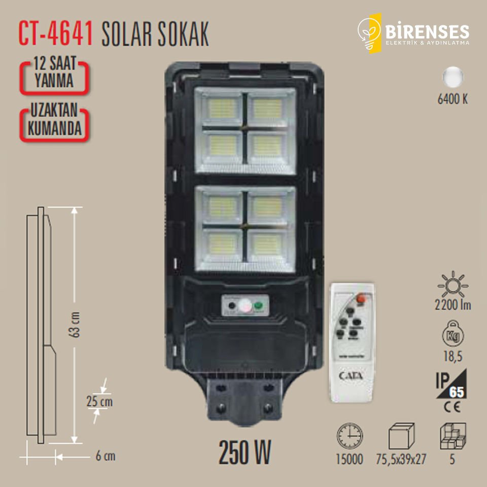 CATA CT-4641 250W Solar Sokak Armatürü