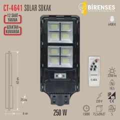 CATA CT-4641 250W Solar Sokak Armatürü