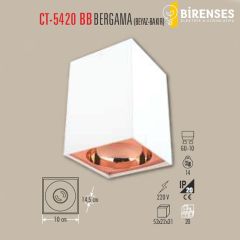 CATA CT-5420Bb Bergama Sıva Üstü  Armatür Gu-10 Beyaz-Bakır
