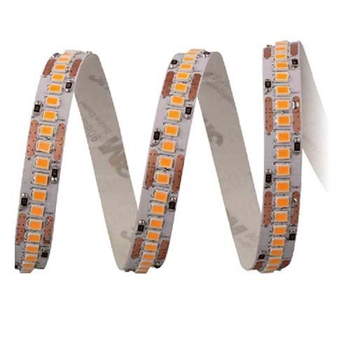 CATA CT-4539G 240 Çip Şerit Led Gold Günışığı