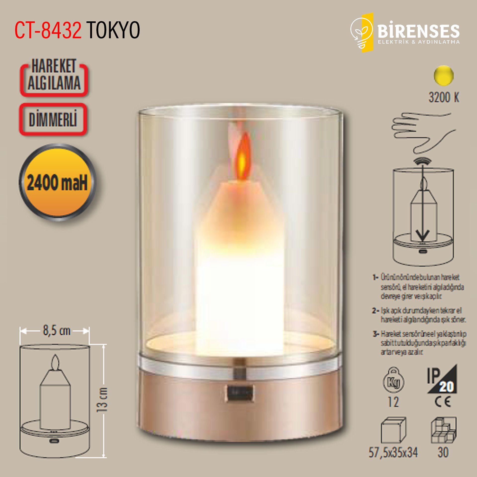 CATA CT-8432 Tokyo Şarjlı Masa Lambası