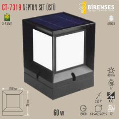 CATA CT-7319K Neptün 60W Solar Bahçe Aydınlatma 4000K